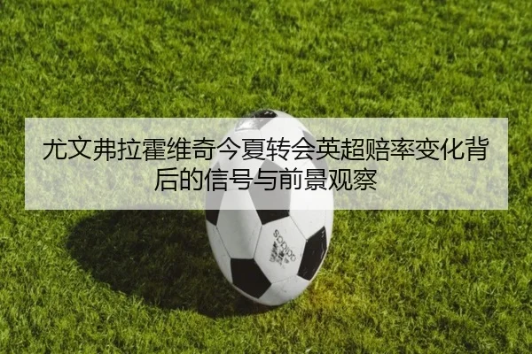 尤文弗拉霍维奇今夏转会英超赔率变化背后的信号与前景观察